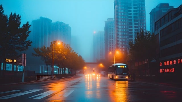 안개 낀 날 도로 위의 버스